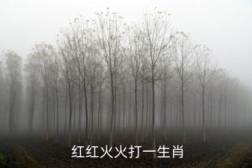  紅紅火火打一生肖