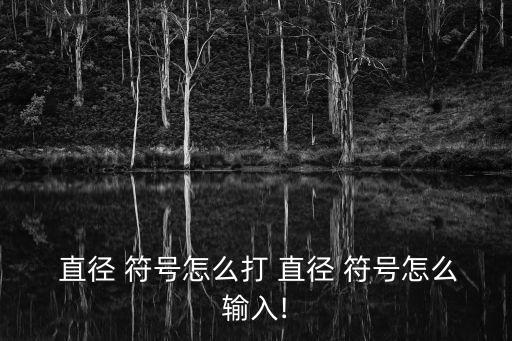  直徑 符號怎么打 直徑 符號怎么輸入!
