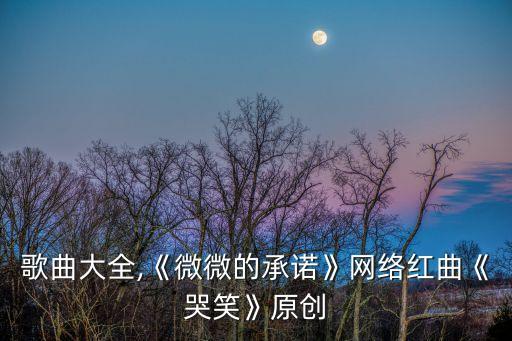 網絡歌曲大全,《微微的承諾》網絡紅曲《哭笑》原創