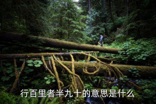 行百里者半九十的意思是什么