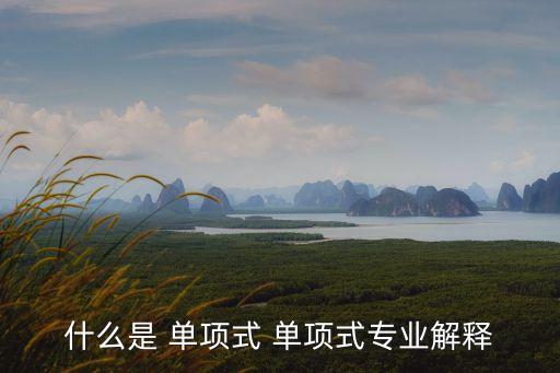 單項式,這些單項公式的系數(shù)是什么?