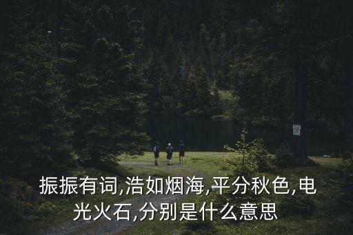  振振有詞,浩如煙海,平分秋色,電光火石,分別是什么意思
