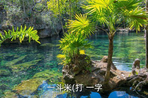  一斗米(打 一字
