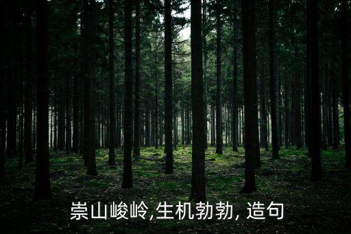 崇山峻嶺造句,第二集:戰士們冒酷暑堅持戰斗在崇山峻嶺之間