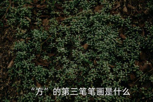 “方”的第三筆筆畫是什么