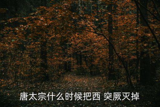 西突厥,唐朝滅西突厥后有新部落活躍在中亞