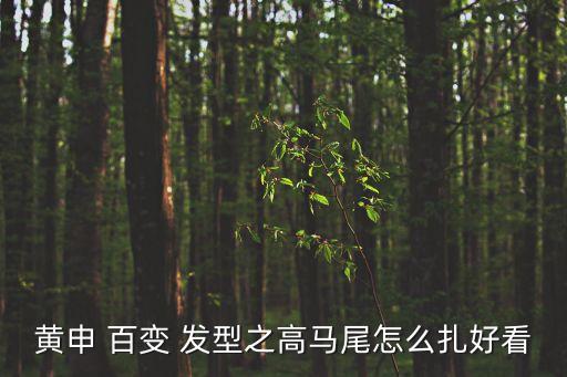 百變發型,什么樣的長臉適合發型露馬尾露發型?