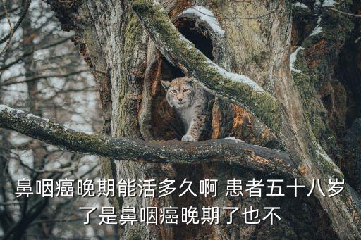 鼻咽癌晚期能活多久啊 患者五十八歲了是鼻咽癌晚期了也不