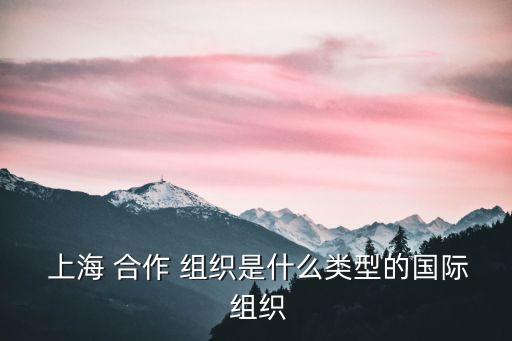 上海合作組織,中俄等六國宣布成立上合組織聯合國
