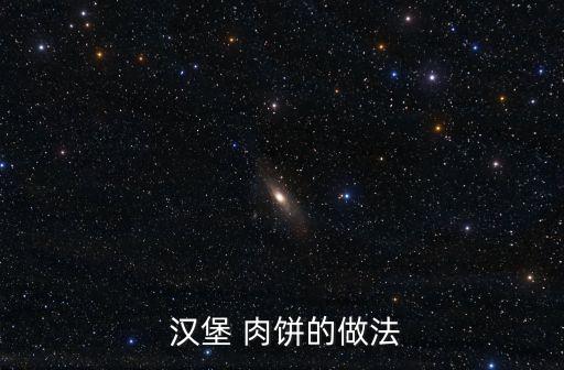  漢堡 肉餅的做法