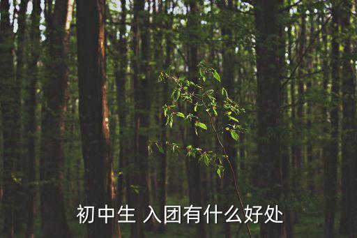 初中入團有什么好處