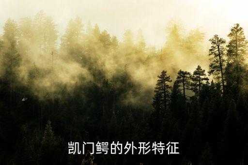 凱門鱷的外形特征