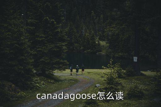 canadagoose怎么讀