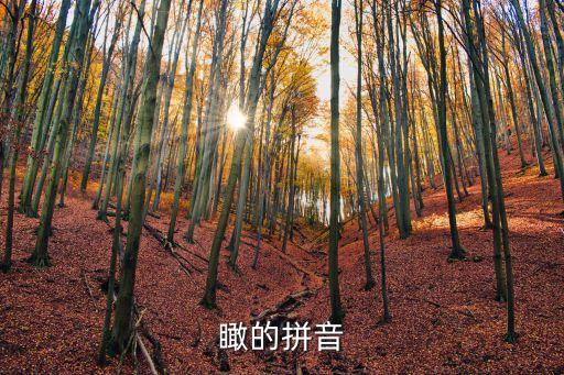 瞰的拼音