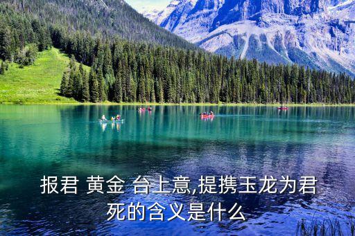 報君黃金臺上意,報君黃金臺上意大利詩人:為祖國統一奮勇向前