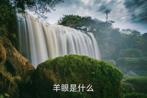 羊眼是什么