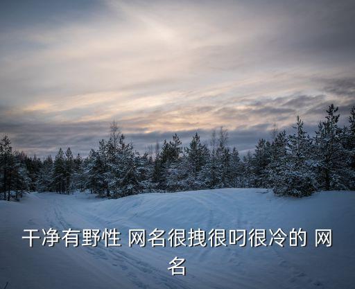 干凈有野性 網名很拽很叼很冷的 網名