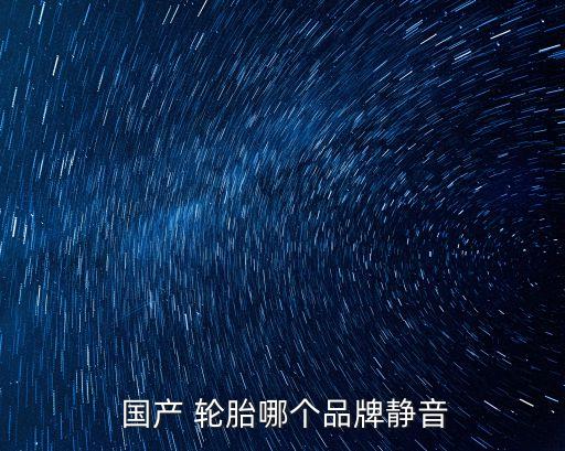  國產 輪胎哪個品牌靜音