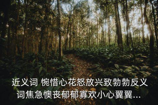 惋惜的近義詞,他只是握著我的手說可惜、惋惜