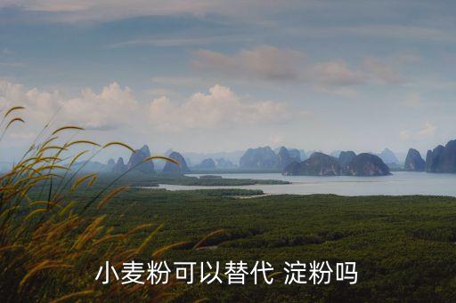 面粉可以代替淀粉嗎,小麥粉可以炒嗎?