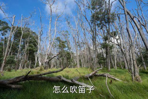 怎么吹笛子