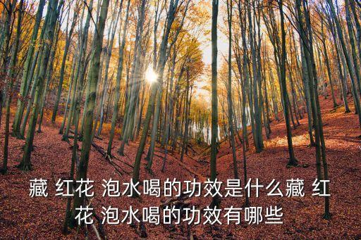 藏紅花泡水,藏語(yǔ)紅花泡水喝法有何不同?