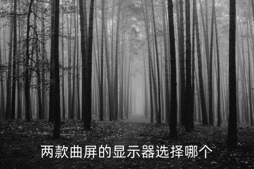 曲屏顯示器，兩款曲屏的顯示器選擇哪個