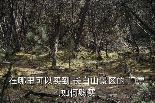 在哪里可以買到 長(zhǎng)白山景區(qū)的 門票,如何購(gòu)買