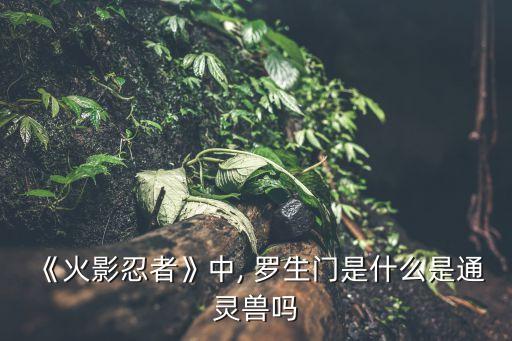 五重羅生門,用通靈術召喚五重羅生門防止尾獸炮在柱間砸土