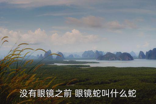 沒有眼鏡之前 眼鏡蛇叫什么蛇