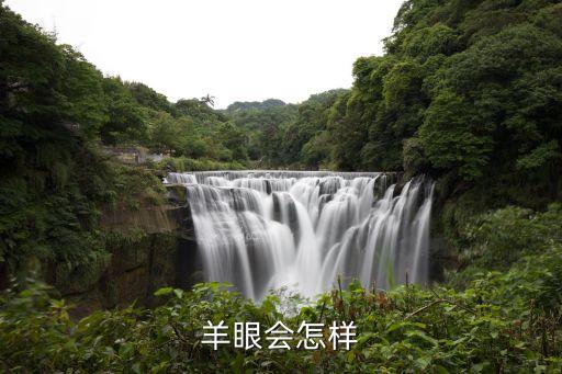 羊眼會怎樣