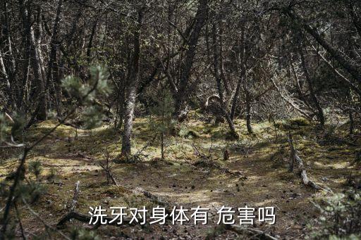  洗牙對身體有 危害嗎