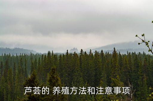 蘆薈的養殖方法,養殖蘆薈需要注意什么?!