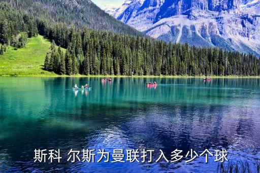 保羅斯科爾斯,科爾斯正式復出曾在曼聯對曼城比賽中出場