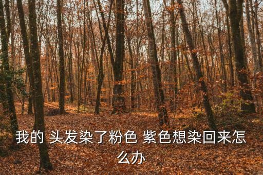 我的 頭發(fā)染了粉色 紫色想染回來怎么辦