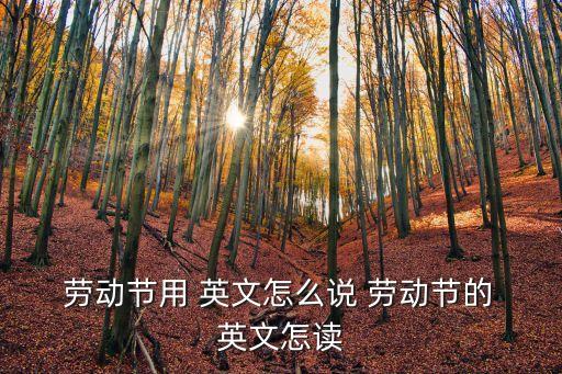 勞動節用 英文怎么說 勞動節的 英文怎讀