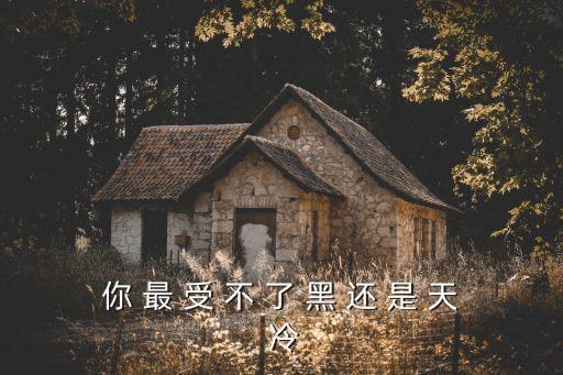 你 最 受 不 了 黑 還 是 天 冷