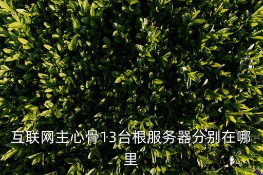 13臺,央視13個根域名服務器共13個位于美國日本
