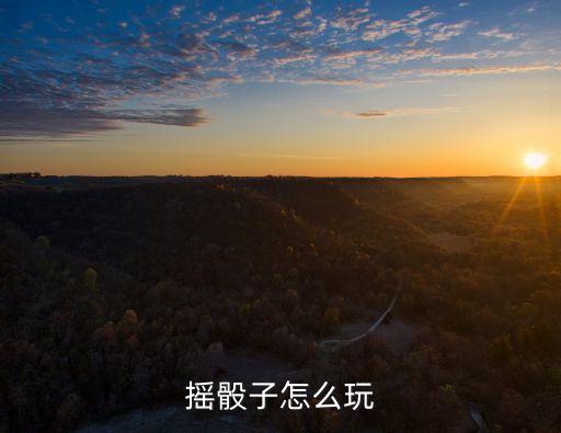 搖篩子,三個(gè)數(shù)相同的骰子你搖一搖再移到下個(gè)莊園!