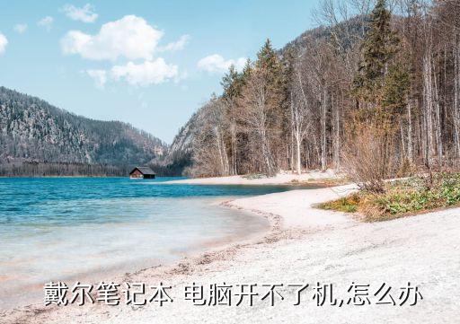  戴爾筆記本 電腦開不了機(jī),怎么辦