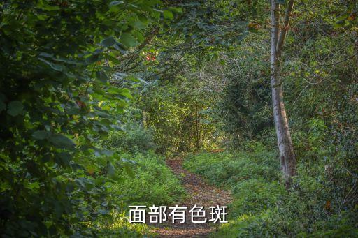 面部有色斑