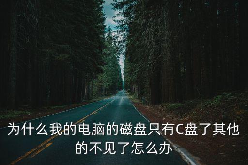 為什么我的電腦的磁盤只有C盤了其他的不見了怎么辦