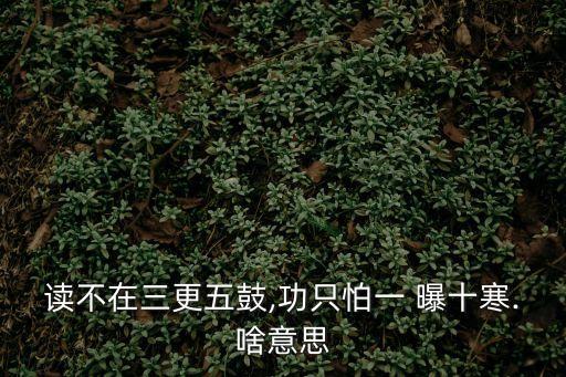 讀不在三更五鼓,功只怕一 曝十寒.啥意思