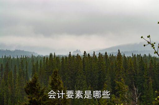 會計(jì)要素有哪些，會計(jì)要素包括哪些內(nèi)容