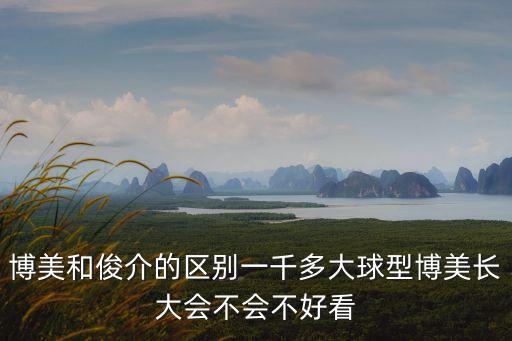 博美和俊介的區別一千多大球型博美長大會不會不好看
