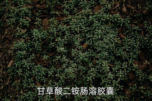 甘草酸二銨腸溶膠囊