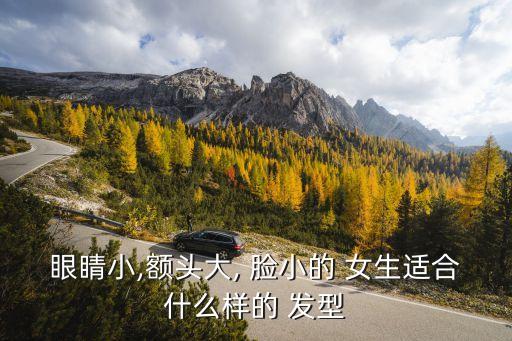 眼睛小,額頭大, 臉小的 女生適合什么樣的 發型