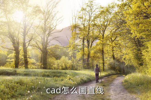 cad畫直線，CAD直線畫法