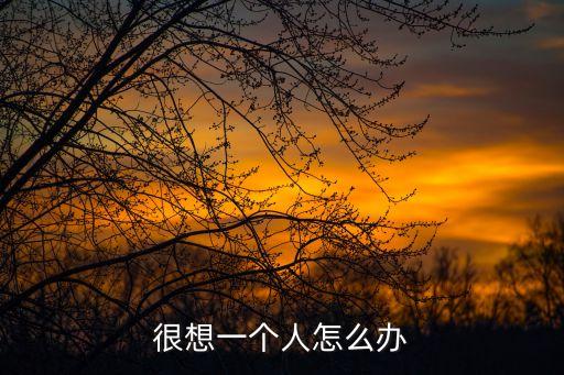 很想一個人怎么辦