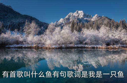 有首歌叫什么魚有句歌詞是我是一只魚